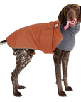 German Shorthaired Pointer Winter Coat