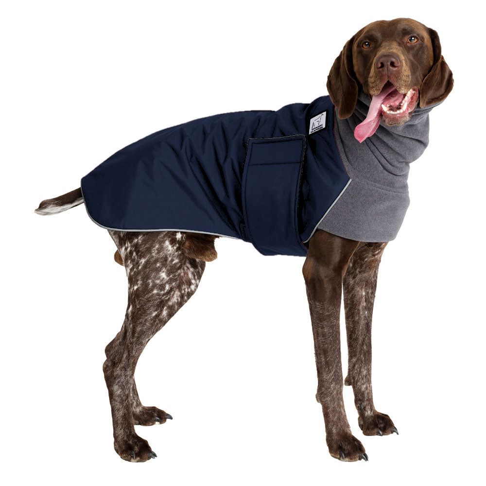 German Shorthaired Pointer Winter Coat