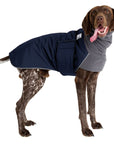 German Shorthaired Pointer Winter Coat