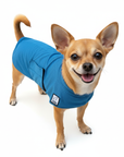 Chihuahua Cooling Coat