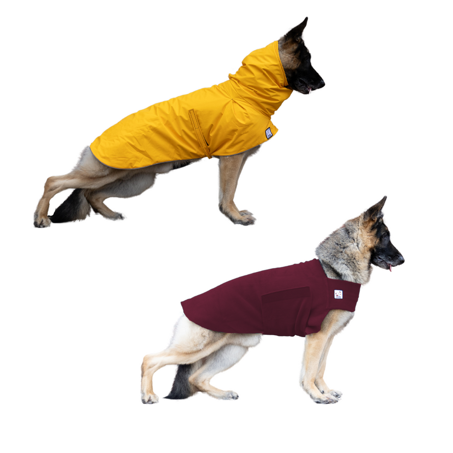 German Shepherd Camper Bundle