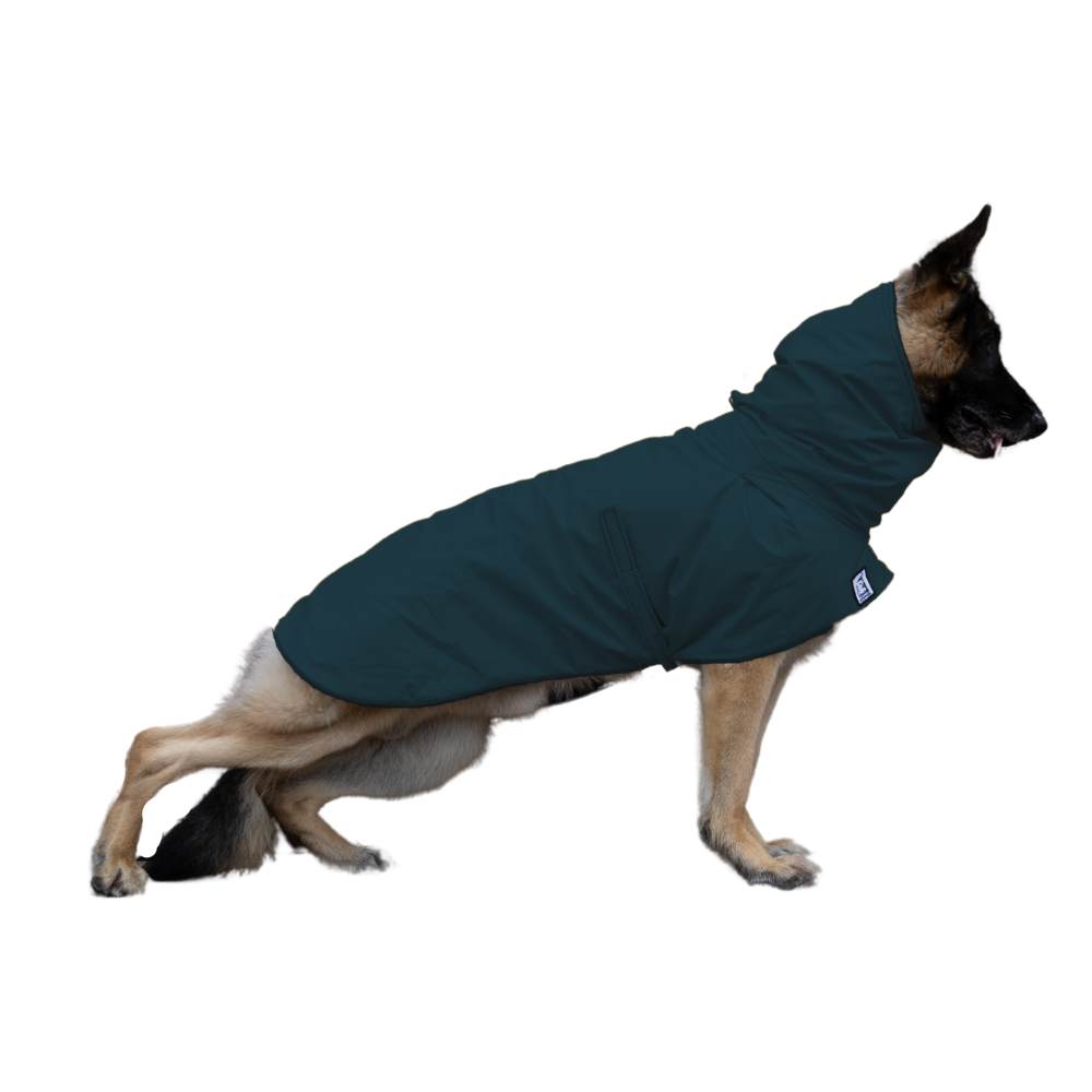 German Shepherd Raincoat Dark Teal