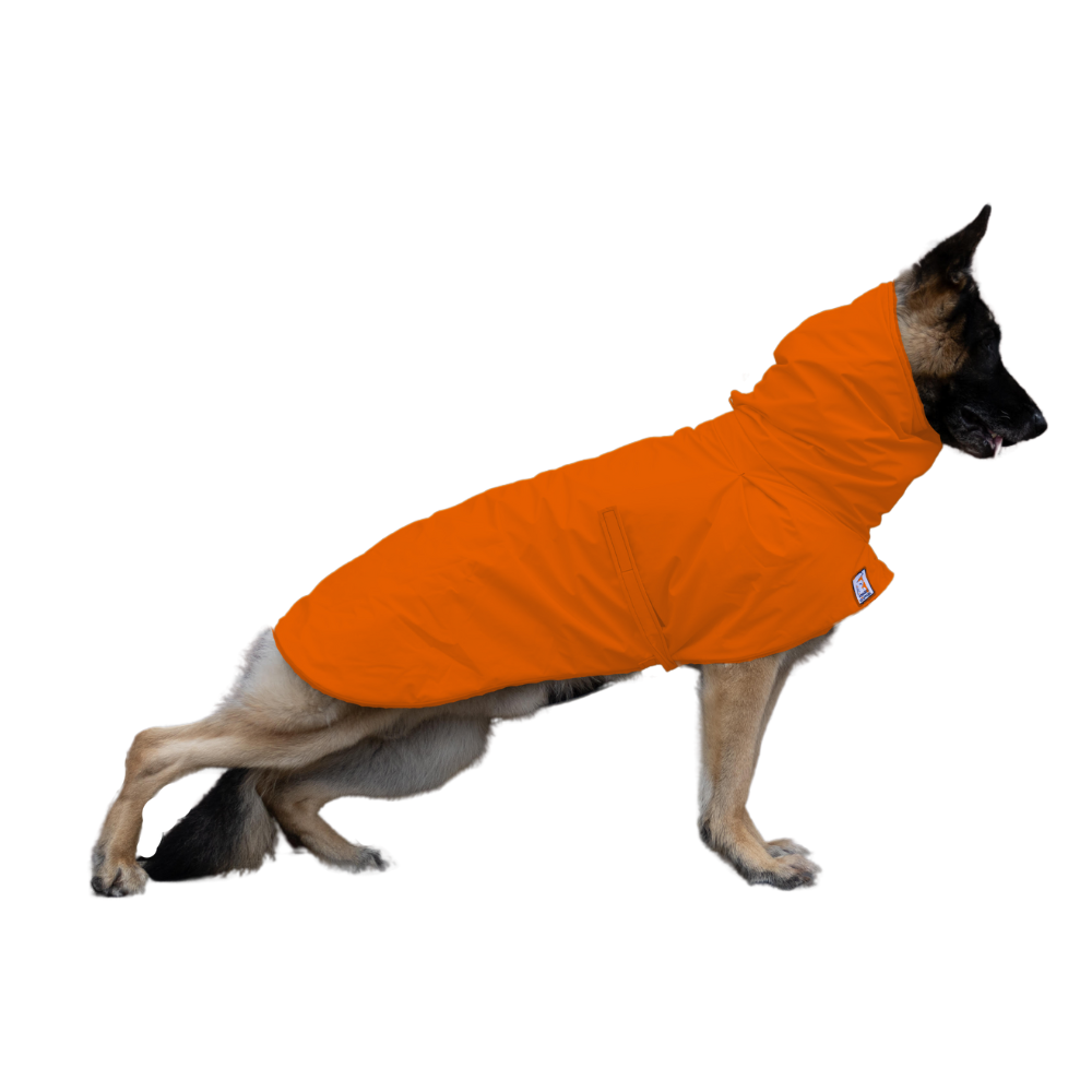 German Shepherd Raincoat