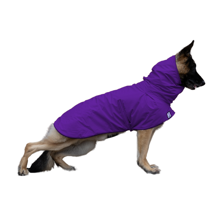 German Shepherd Raincoat Purple