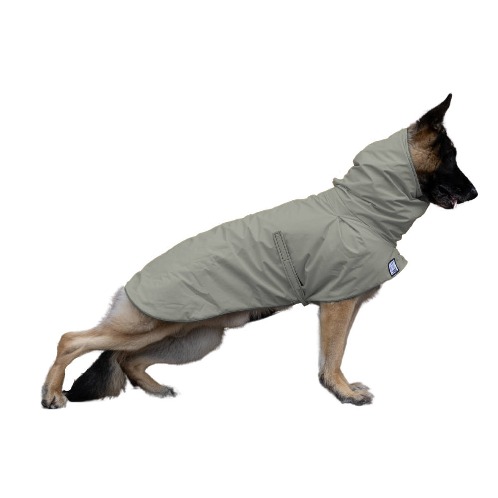 German Shepherd Raincoat Silver Sage