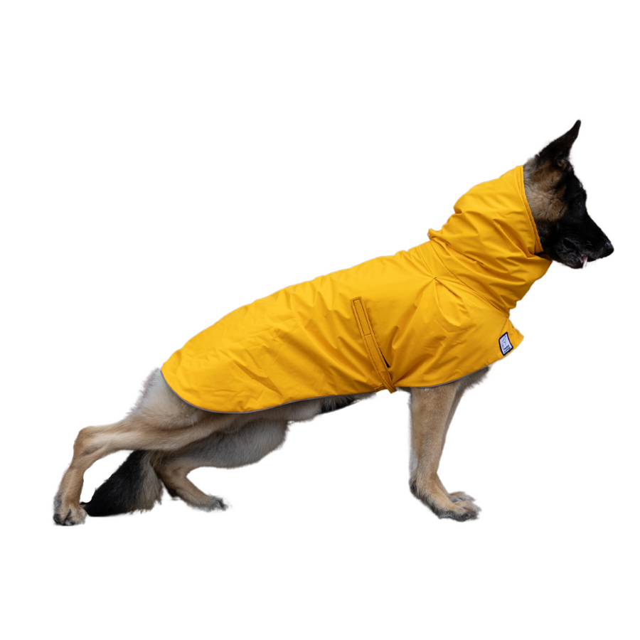German Shepherd Voyager Raincoat