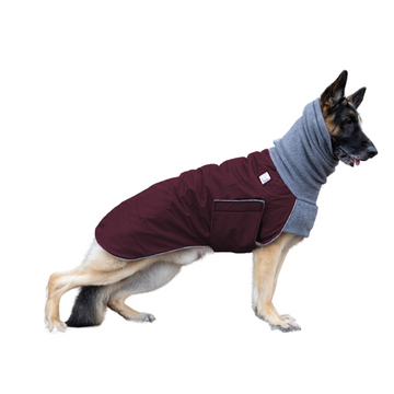 German shepherd gear best sale