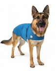 German Shepherd Cooling Coat