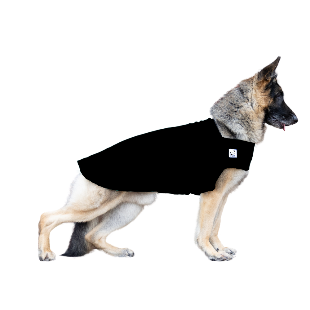 German Shepherd Tummy Warmer
