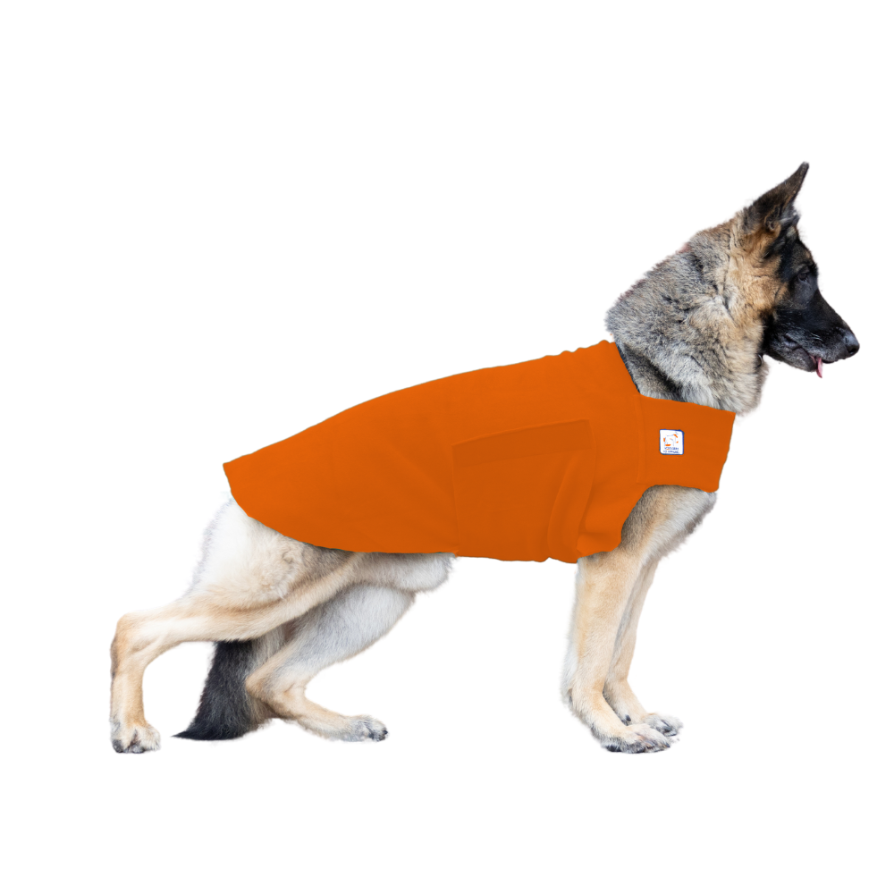 German Shepherd Tummy Warmer