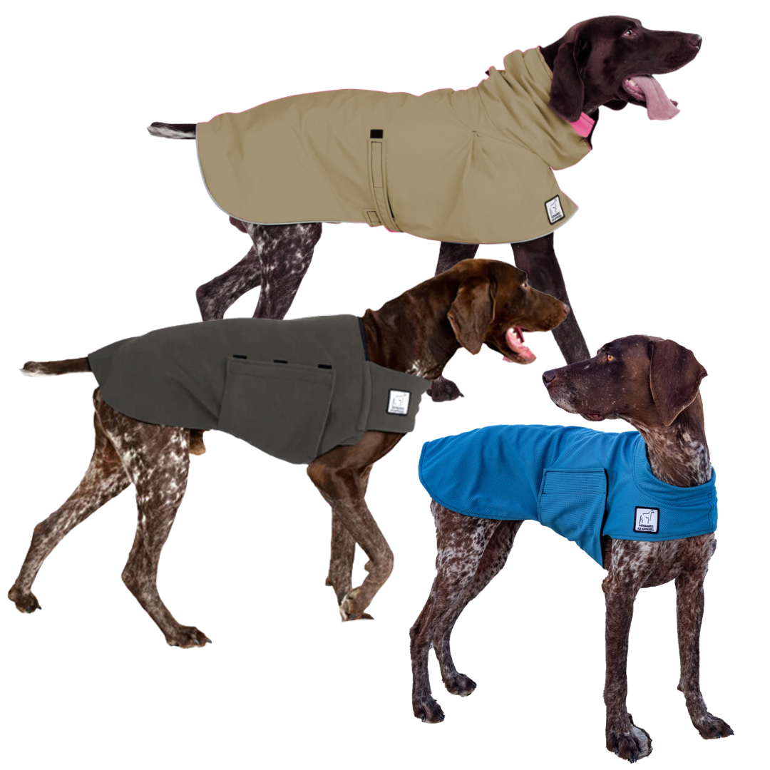 German Shorthaired Nomad Bundle