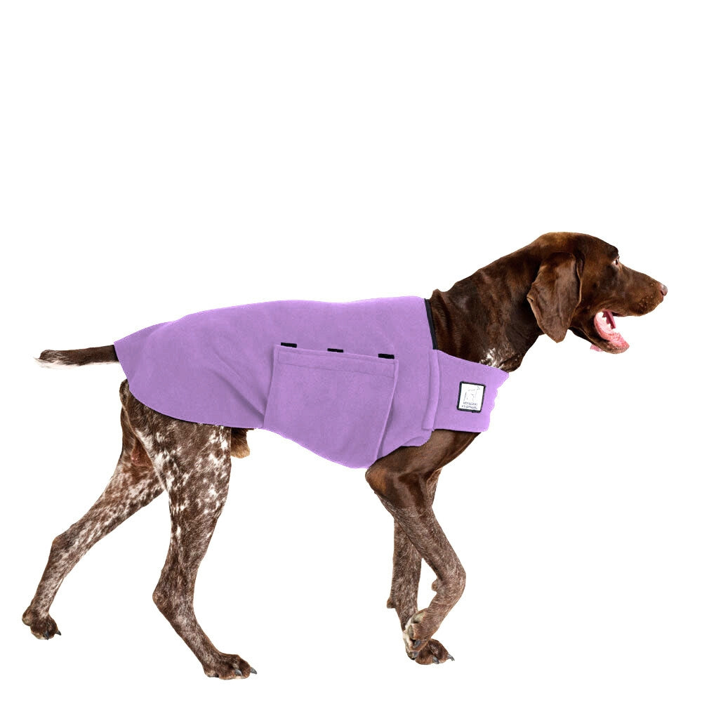 German Shorthaired Pointer Tummy Warmer