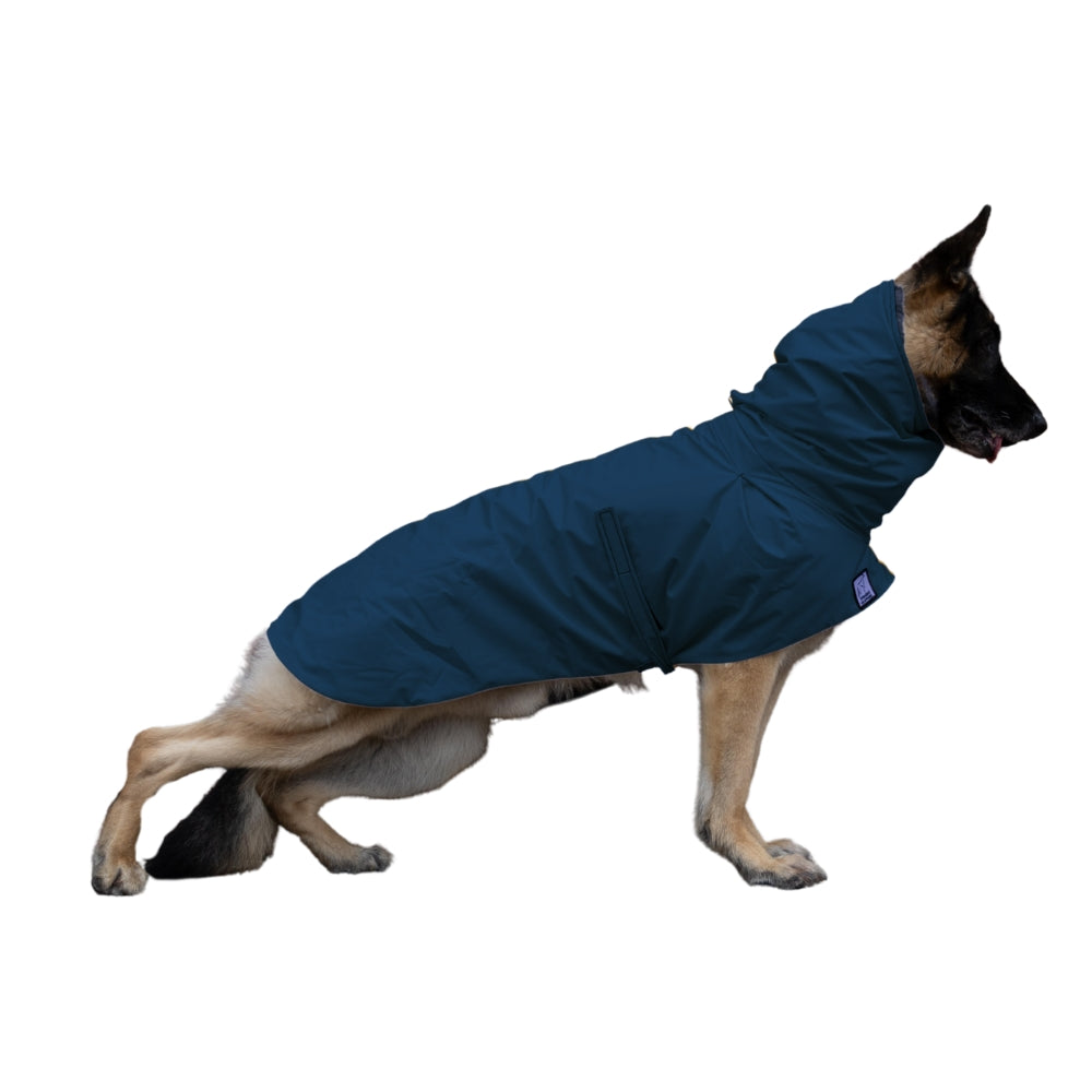 German Shepherd Raincoat