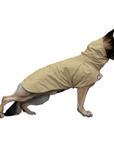 German Shepherd Raincoat