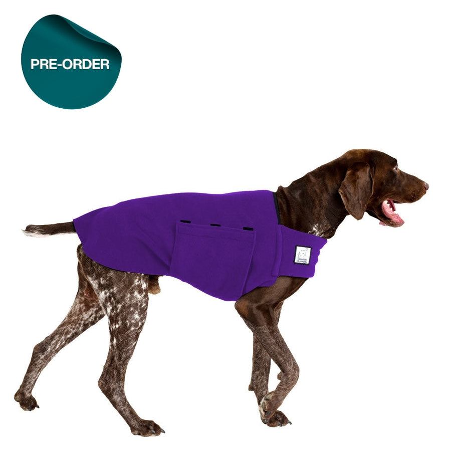 German Shorthaired Pointer Tummy Warmer