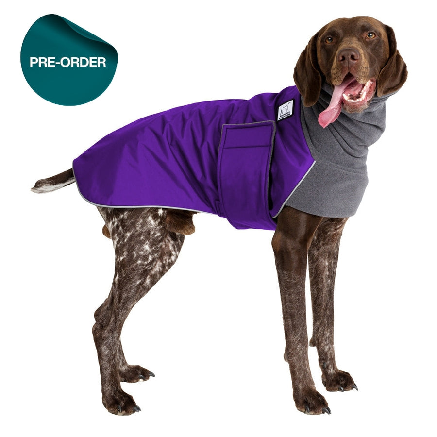 German Shorthaired Pointer Winter Coat