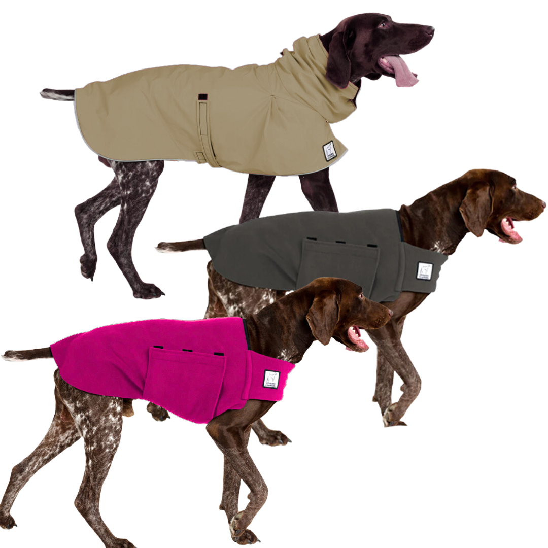 German Shorthaired Wanderer Bundle