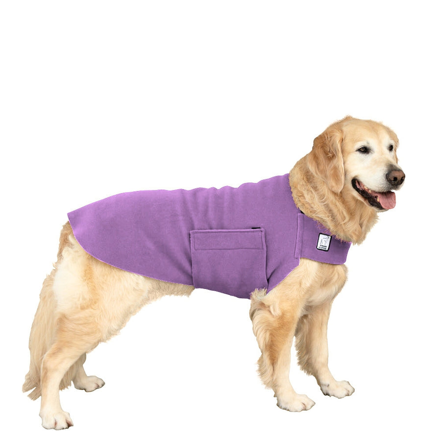 Golden Retriever Tummy Warmer