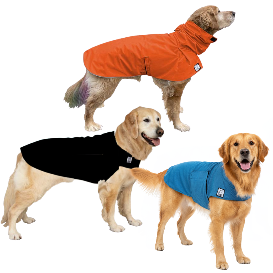 Golden Retriever Nomad Bundle