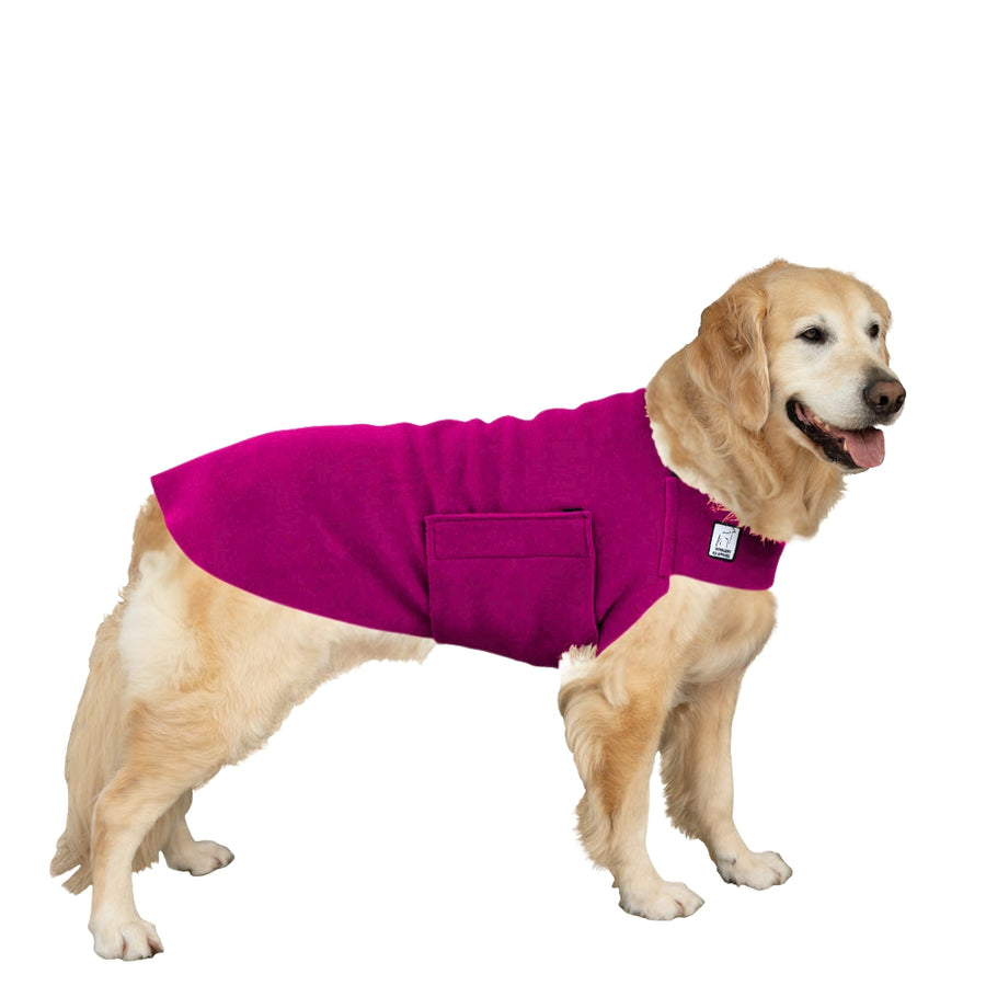 Golden Retriever Tummy Warmer Dog Vest – Voyagers K9 Apparel