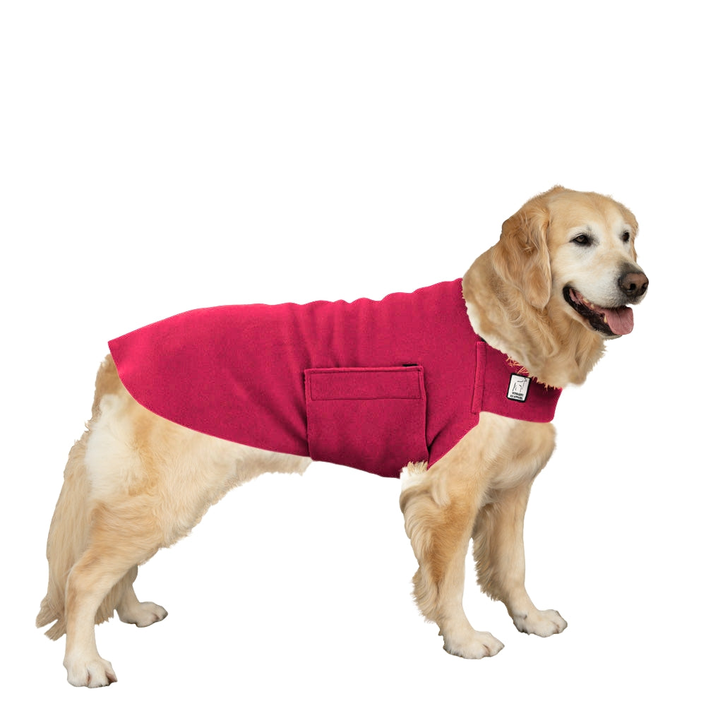 Golden Retriever Tummy Warmer