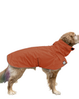 Golden Retriever Raincoat