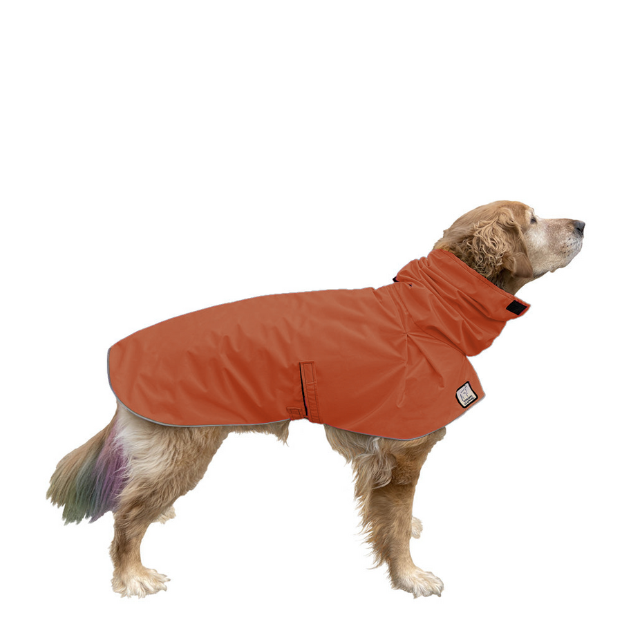 Golden Retriever Raincoat