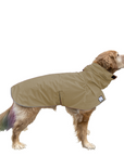 Golden Retriever Raincoat