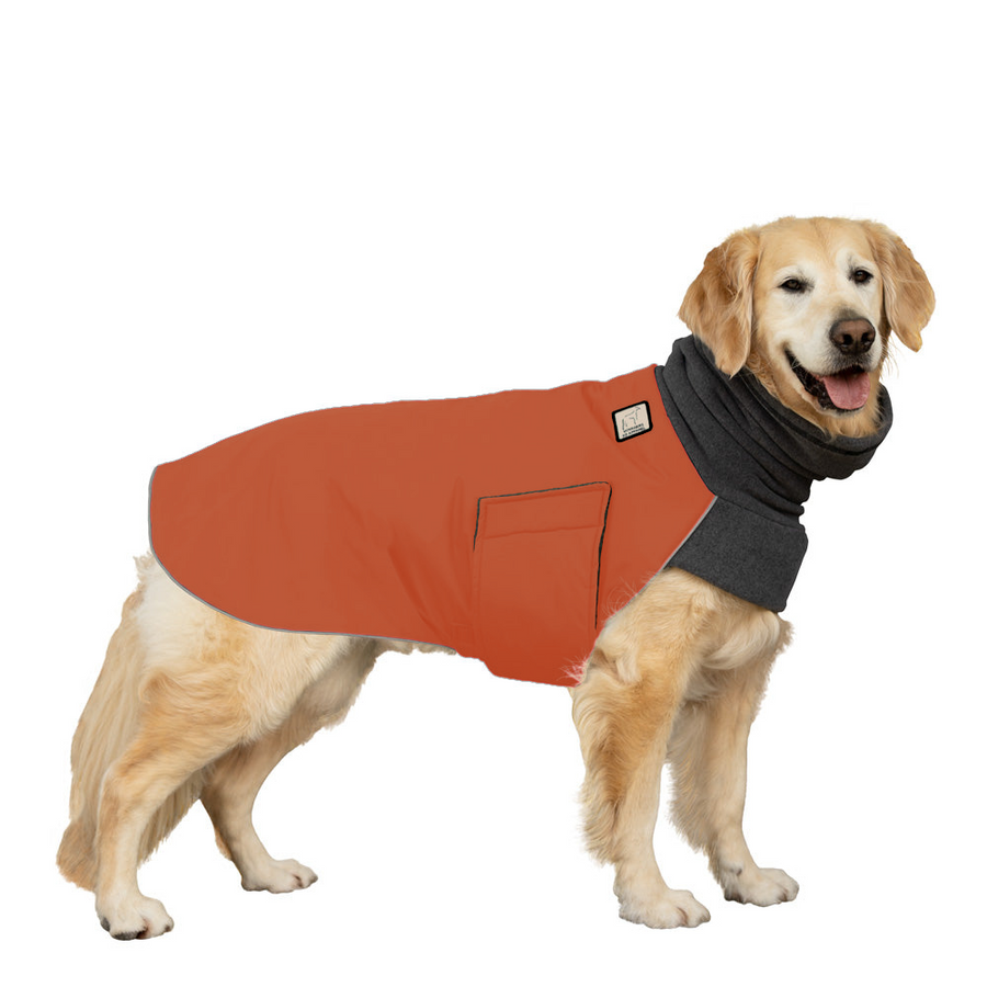 Golden Retriever Winter Coat