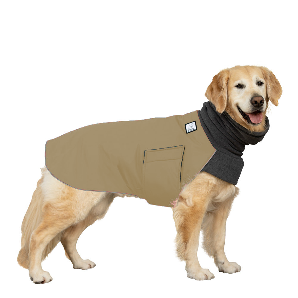 Golden Retriever Winter Coat