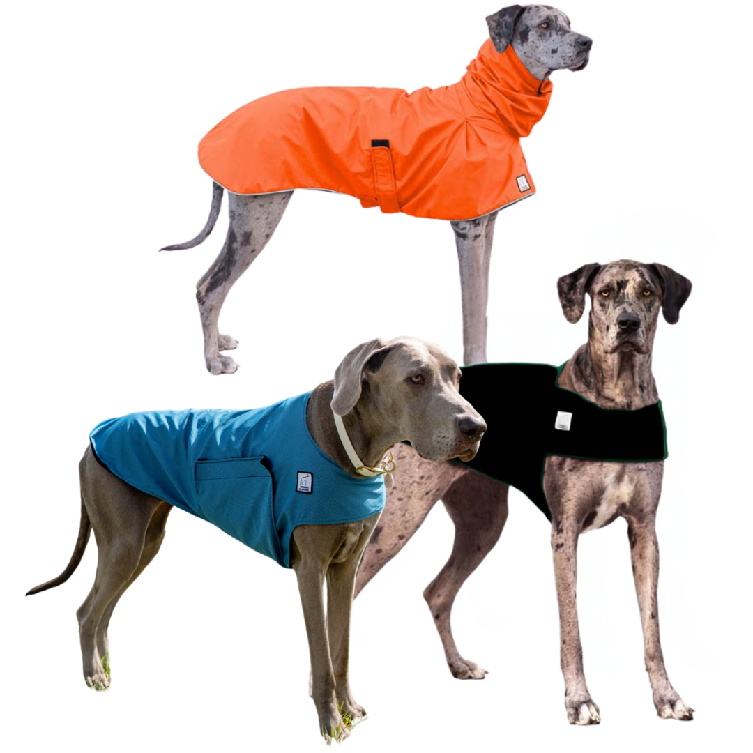 Great Dane Nomad Bundle
