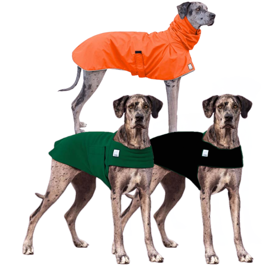 Great Dane Wanderer Bundle
