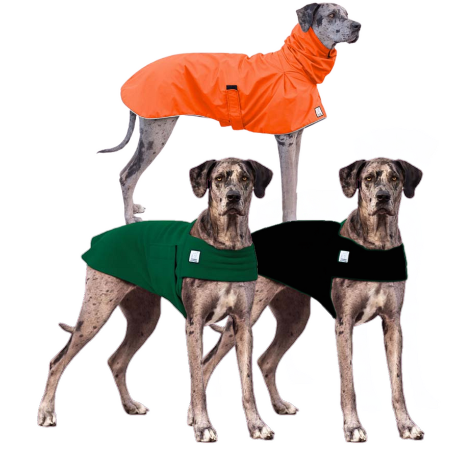 Great Dane Wanderer Bundle