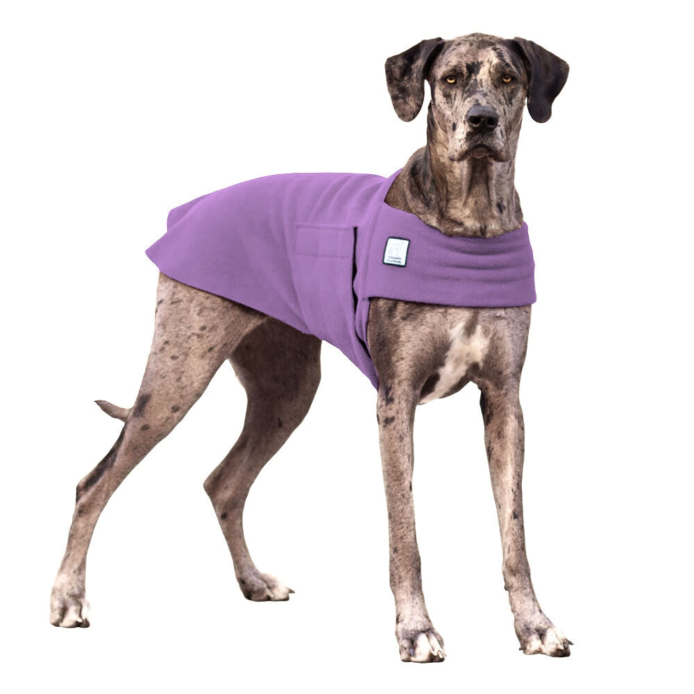 Great Dane Tummy Warmer