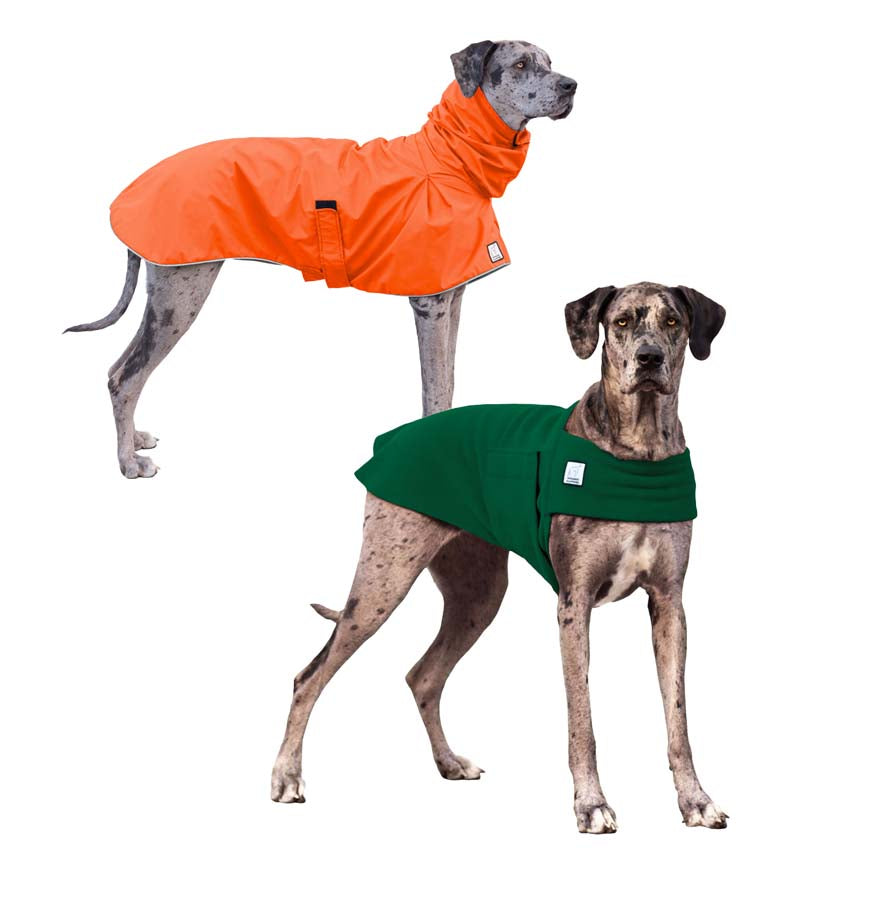 Great Dane Camper Bundle