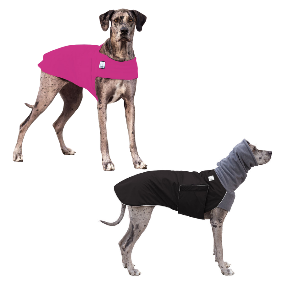 Great Dane Rover Bundle