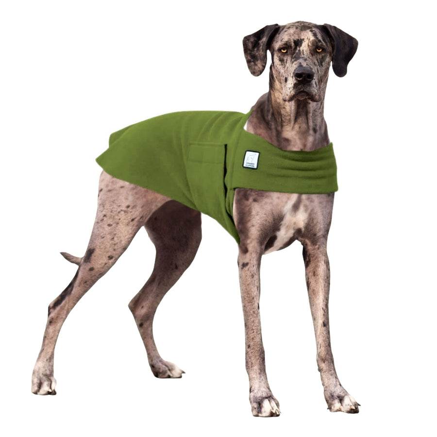 Great Dane Tummy Warmer Dog Vest – Voyagers K9 Apparel