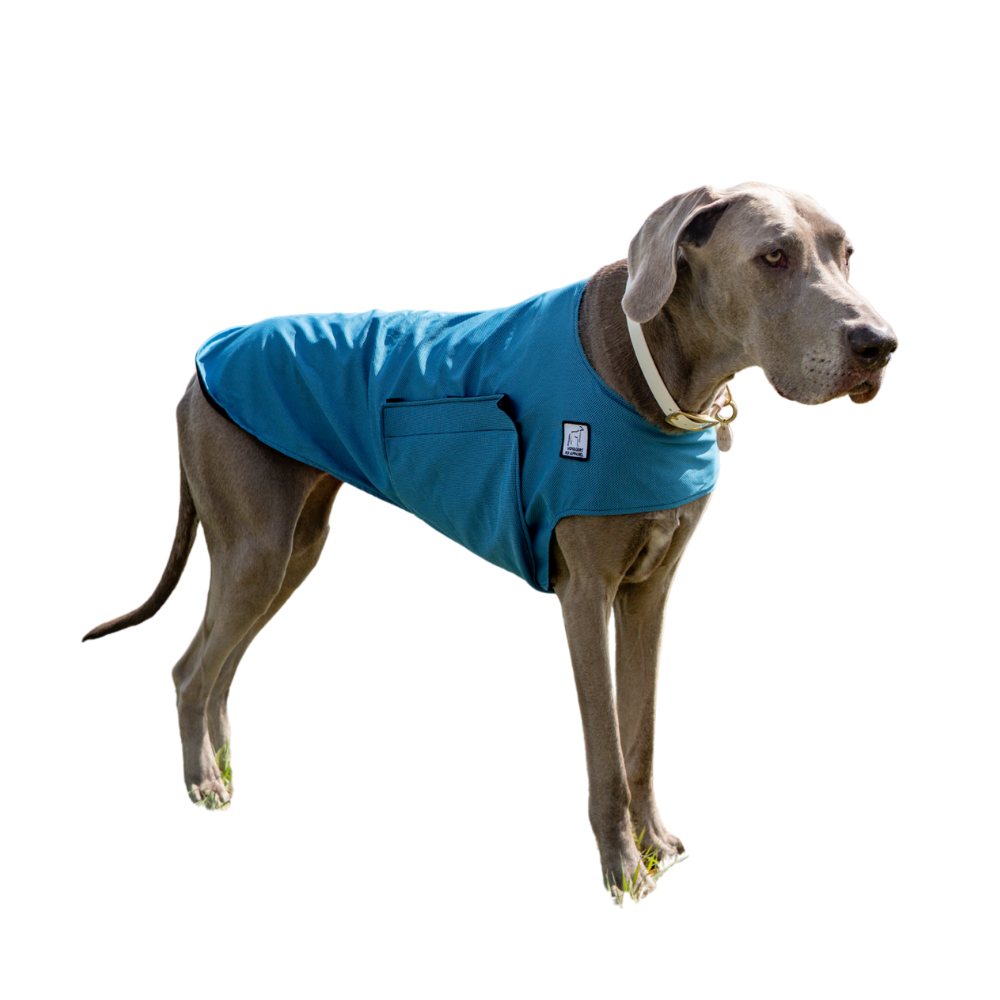 Great Dane Cooling Coat