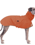 Great Dane Raincoat