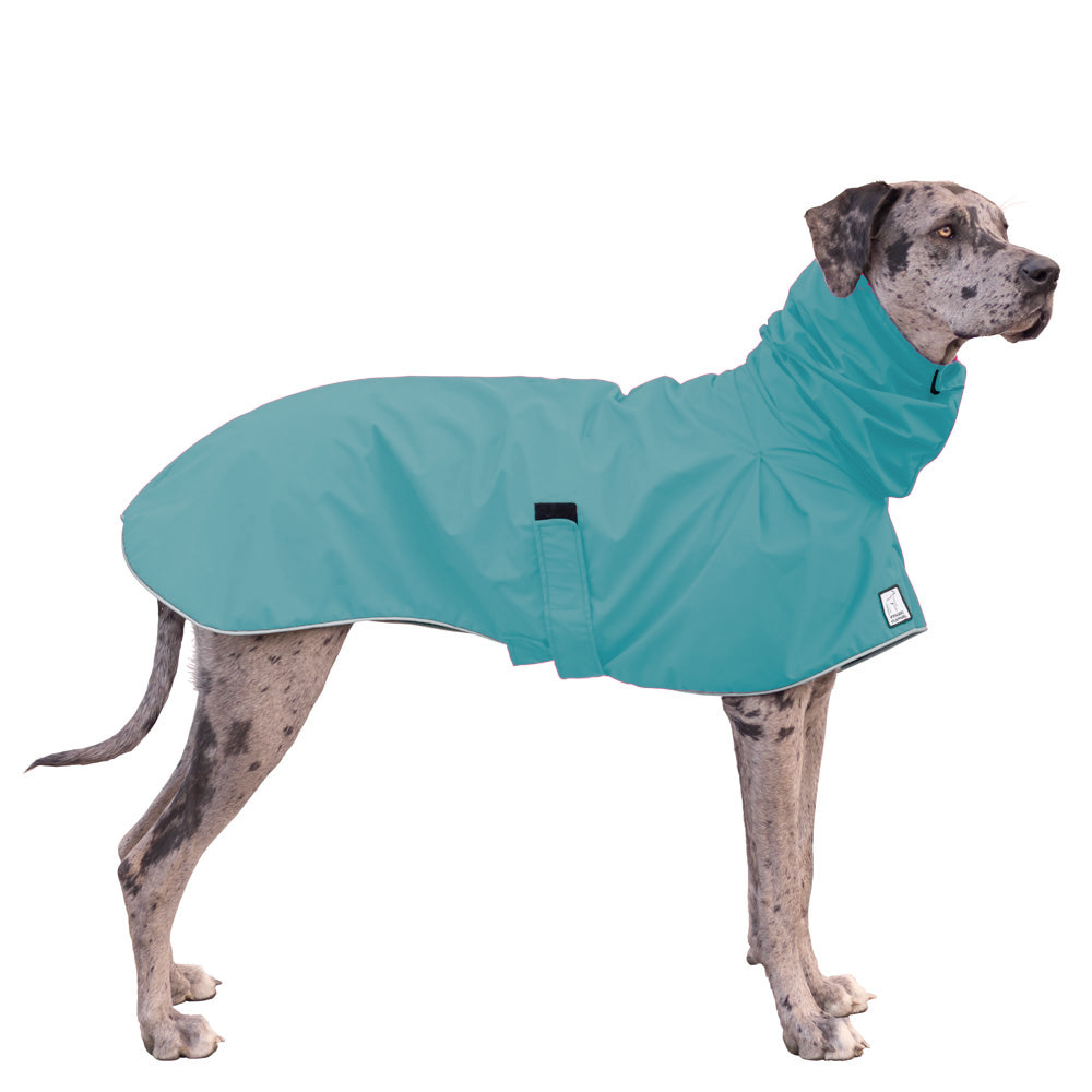 Great Dane Raincoat
