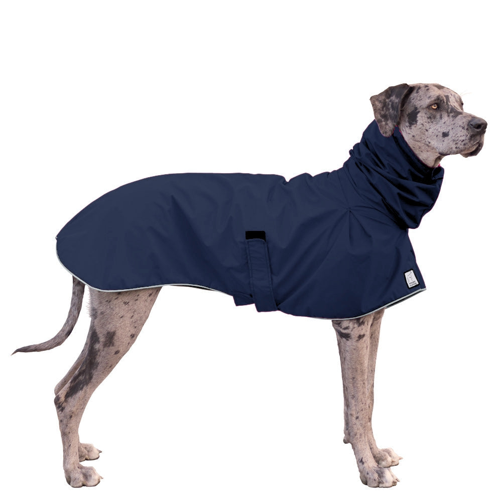 Great Dane Raincoat