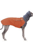 Great Dane Winter Coat