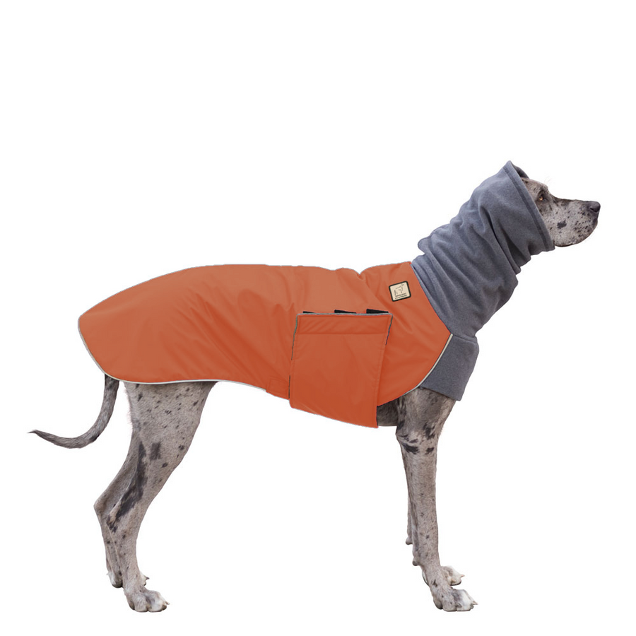 Great dane dog coat hotsell