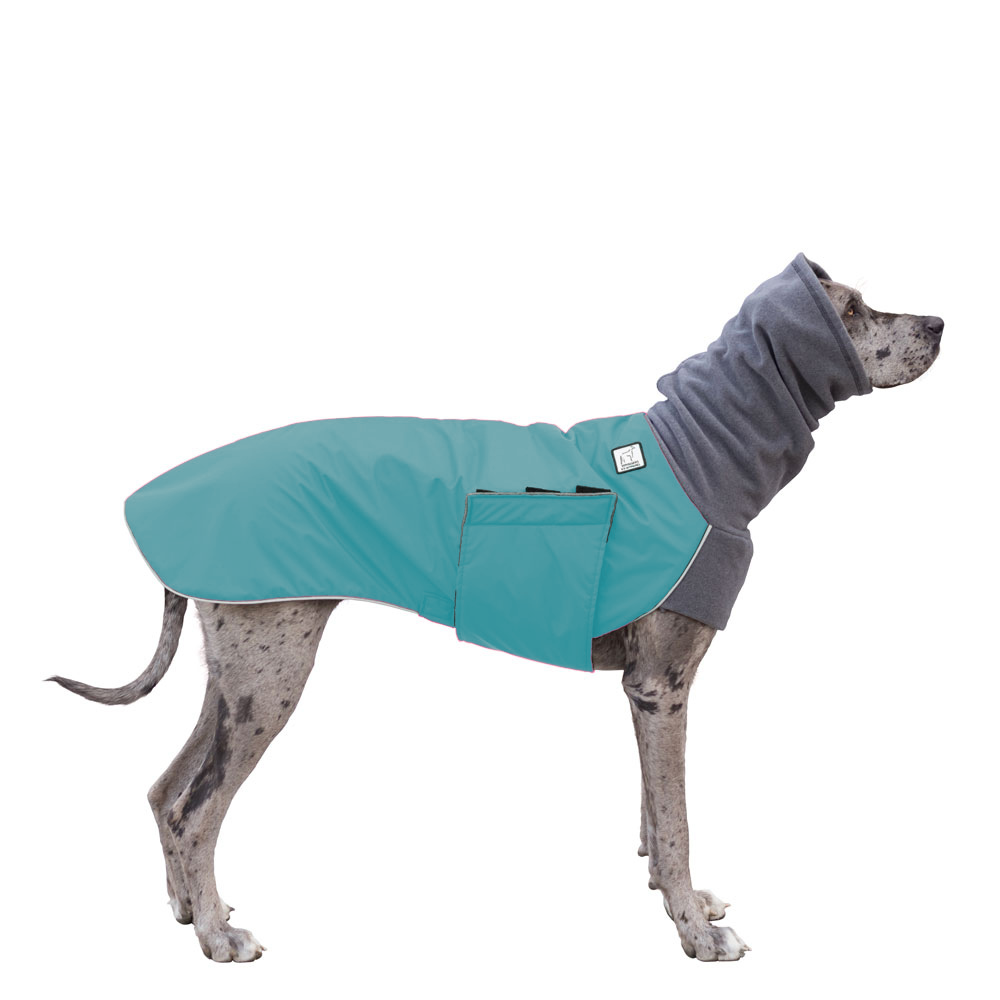 Great Dane Winter Coat