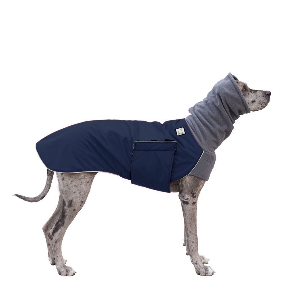 Great Dane Winter Coat