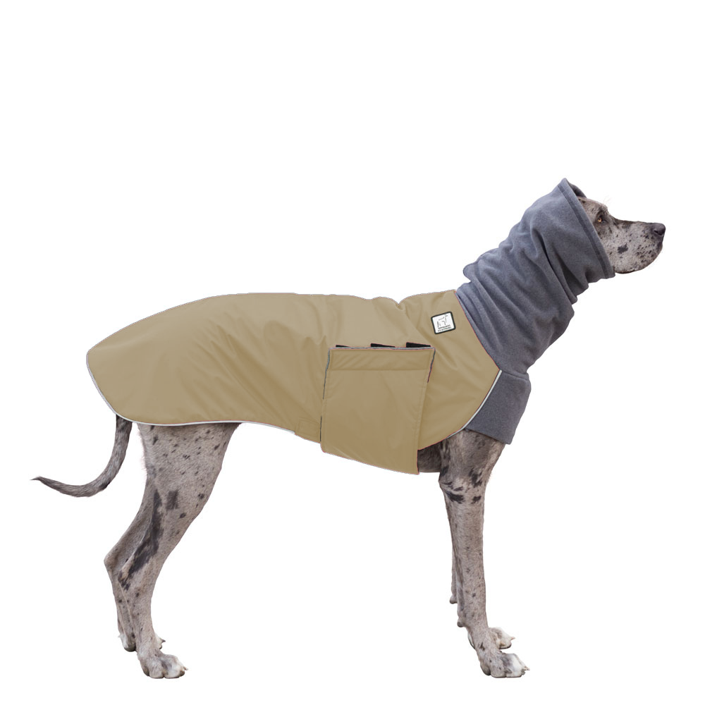 Great Dane Winter Coat