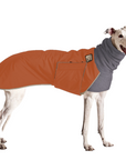 Greyhound Winter Coat