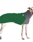 Greyhound Winter Coat