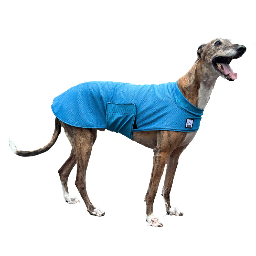 Greyhound Cooling Coat Voyagers K9 Apparel