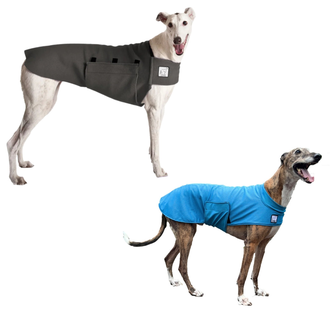 Greyhound Hiker Bundle